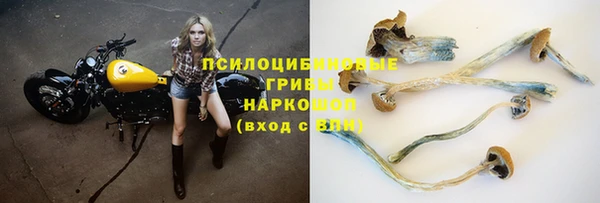 крисы Арсеньев