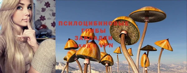 крисы Арсеньев