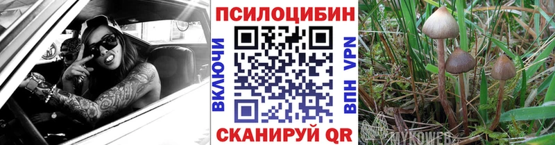 Псилоцибиновые грибы прущие грибы  Купить где  Артёмовский 